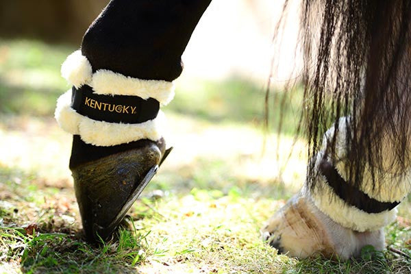 Sheepskin pastern wrap