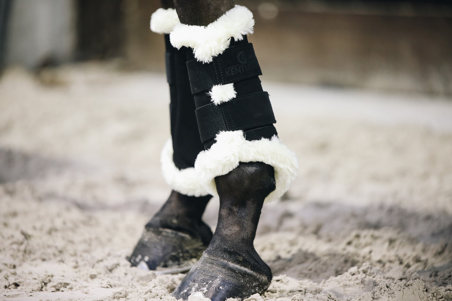 Kentucky Turnout Boots