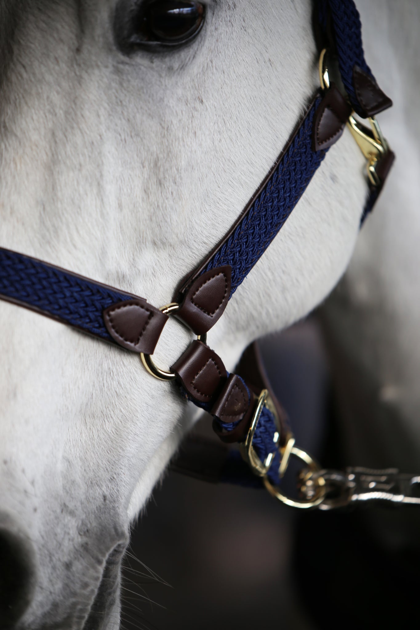 Navy Plaited Head Collar