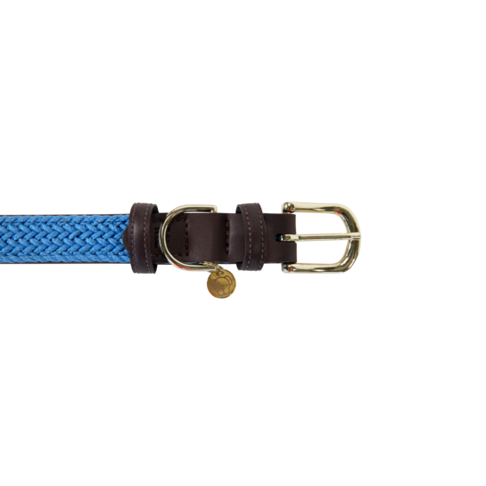 Kentucky Dogwear Collar