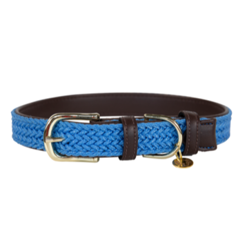 Bright Blue Dog Collar
