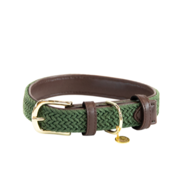 Dark Green Collar for Dogs