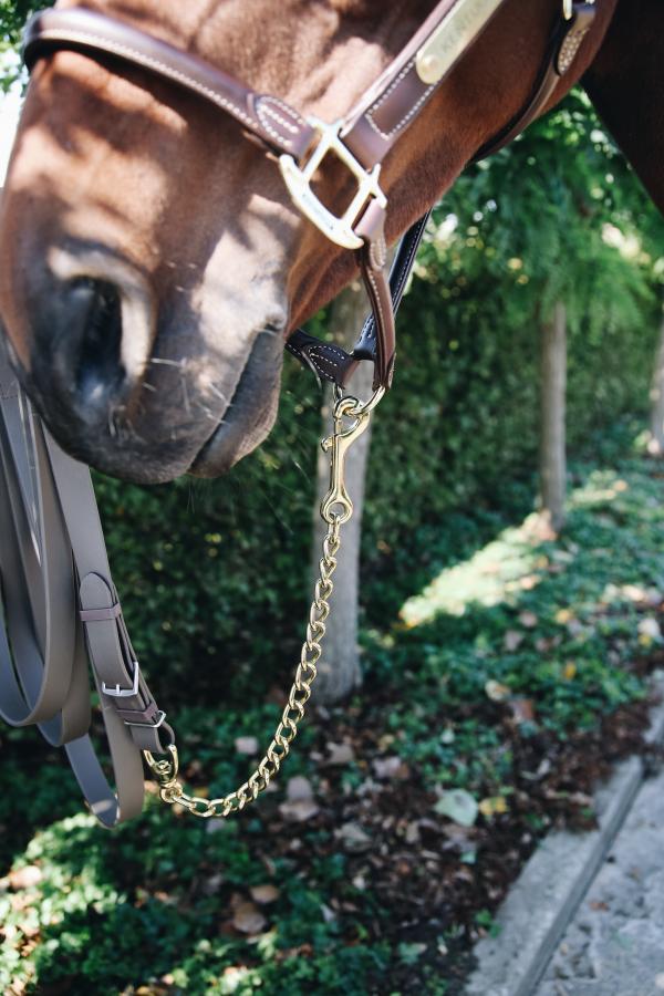 Kentucky Stallion Chain