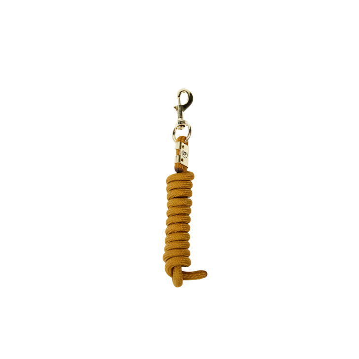 Yellow horse lead