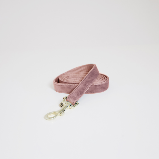Dog Lead Velvet 120cm Light pink