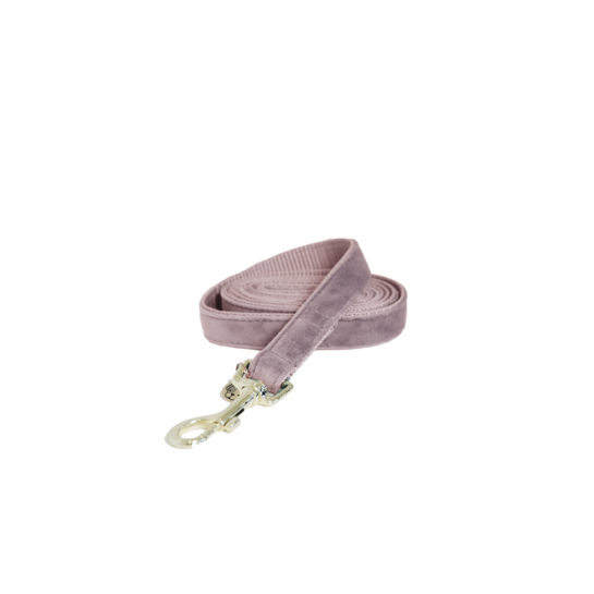 rose dog lead
