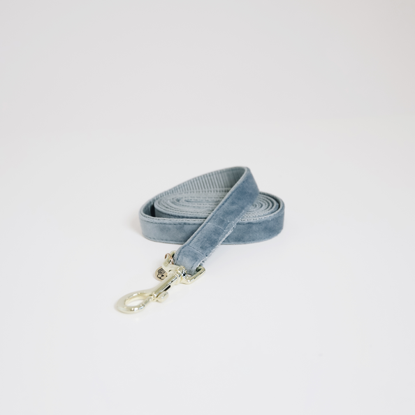 velvety dog leash in light blue