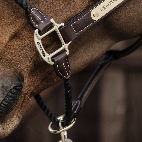 Halter for controlling strong horse