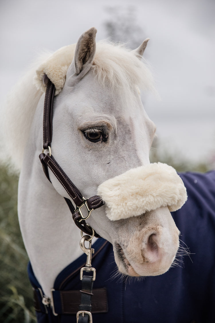 Leather halter for ponies