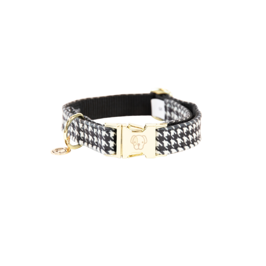 Kentucky dog collar