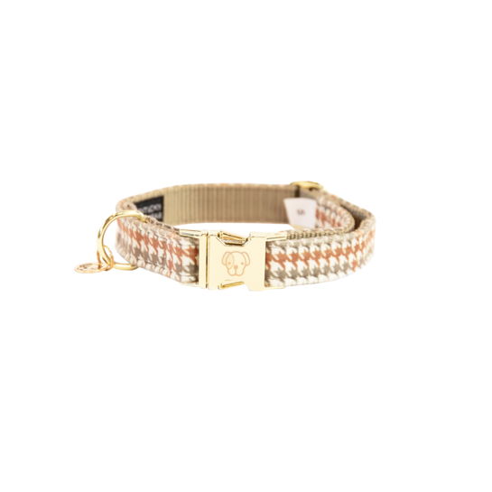dog collar pied de poule
