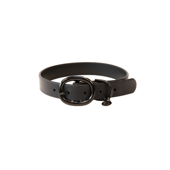 Kentucky dog collar