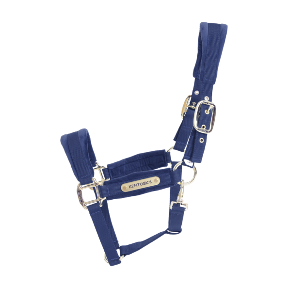 Navy Velvet Halter for horses