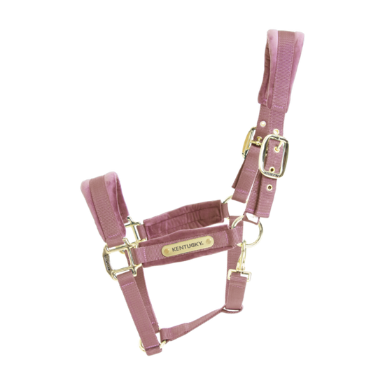 Kentucky Halter in Pink