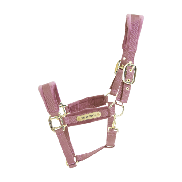 Kentucky Halter in Pink