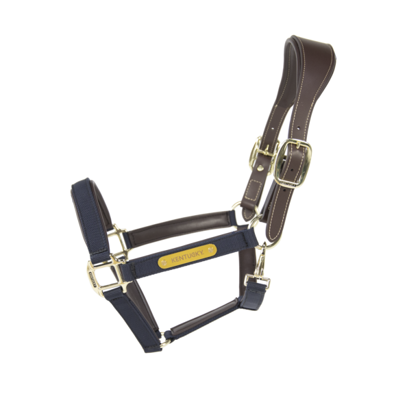 Anatomic halter navy