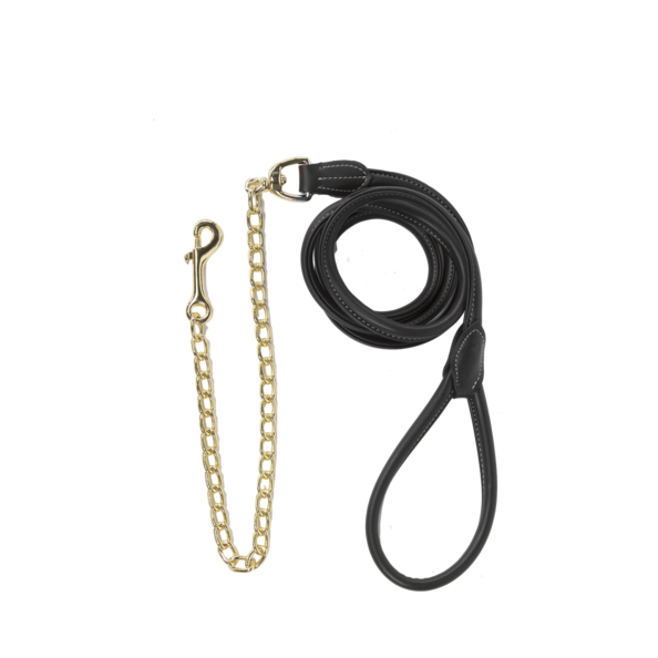 Kentucky lead rope with chain