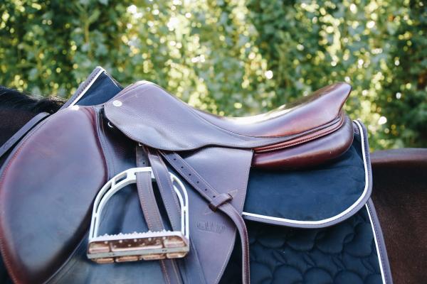 Kentucky Saddle Pad Intelligent Absorb Thick
