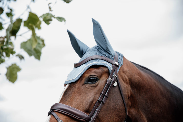 Kentucky Light Blue Fly Veil