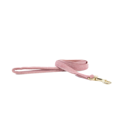 Dog Lead Wool