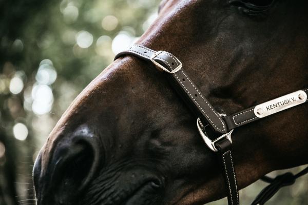 Leather Halter