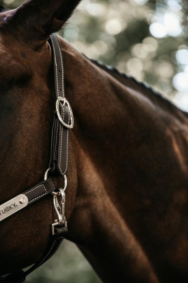 Kentucky Leather Halter