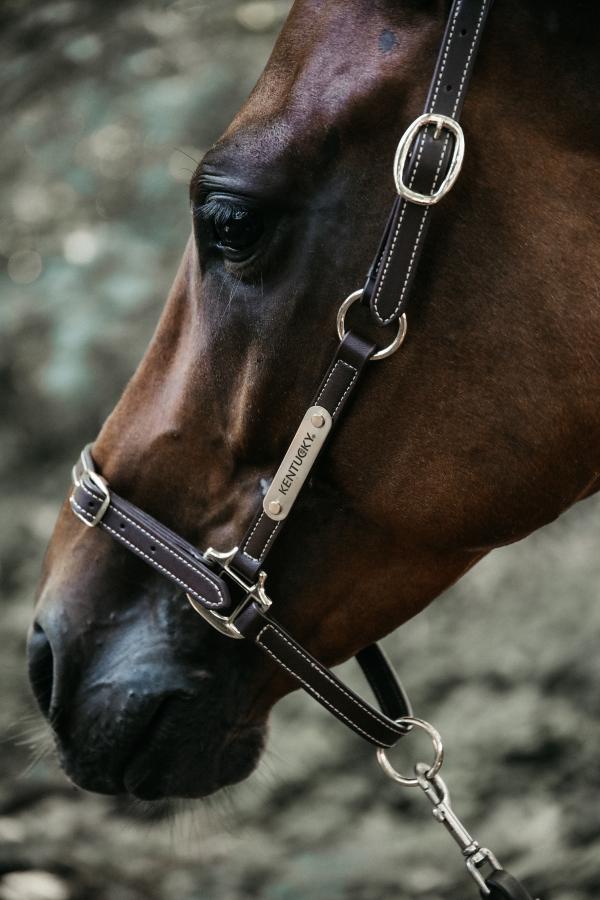 Leather Grooming Halter