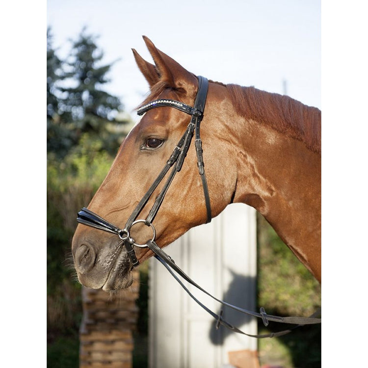 Anatomic Black Drop noseband bridle