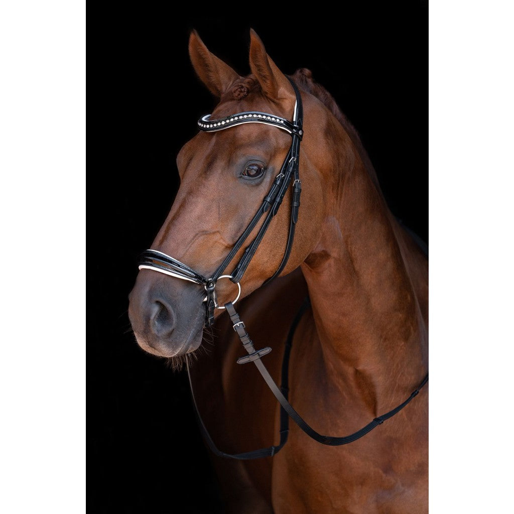 Black and White Drop Noseband Bridle