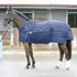 2 in 1 stable and walker rug