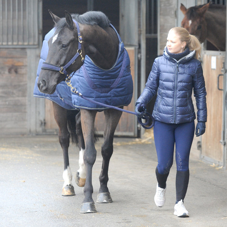 Stable and walker rug