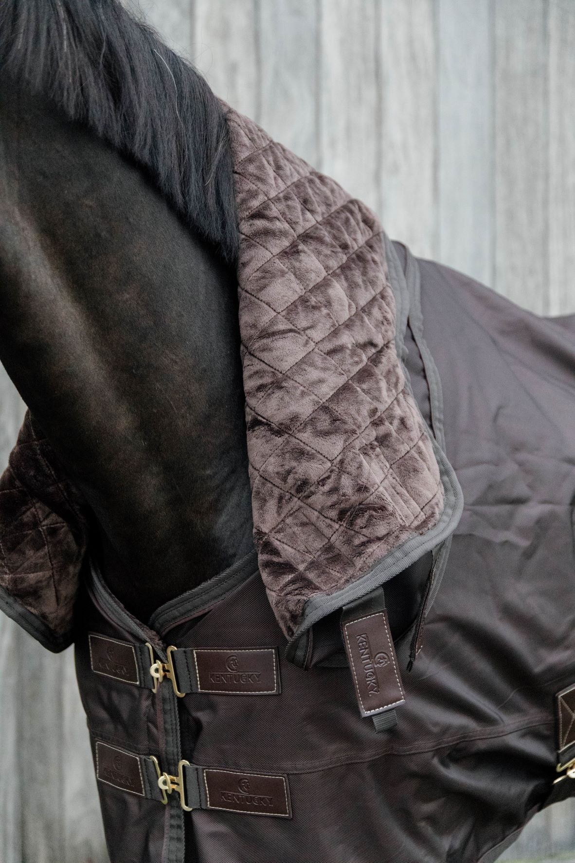 Fur lined turnout rug neck rugs
