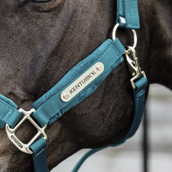 Kentucky Horsewear Headcollar