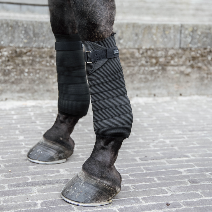 elastic bandages for horses