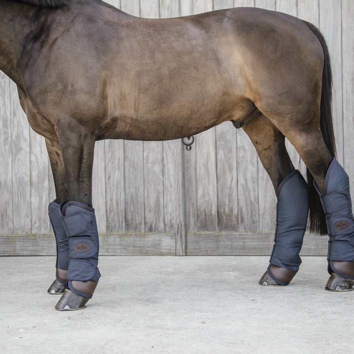 Horse Transport Boots