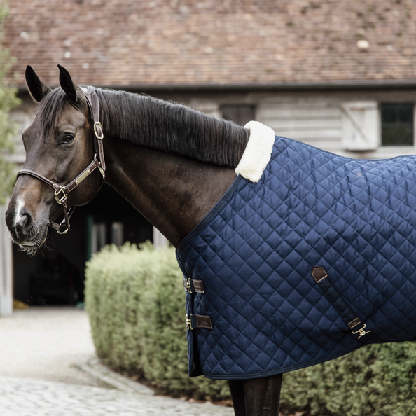 Best 200 gram stable rug for horses