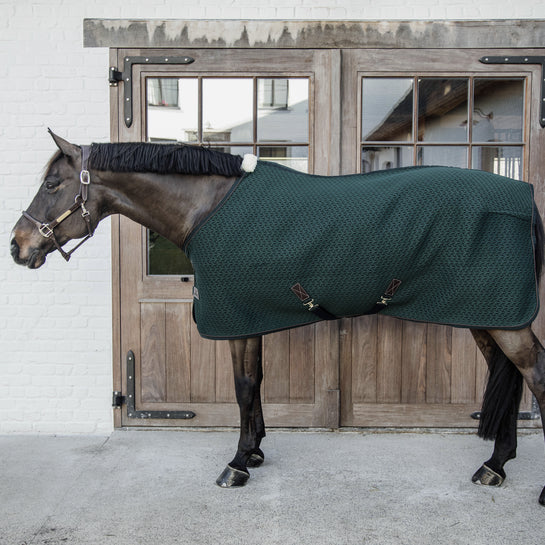 Kentucky summer fly rug