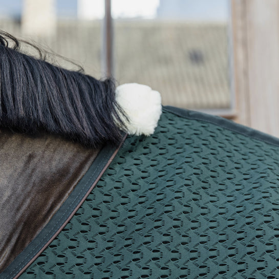 kentucky quick dry cooler rug