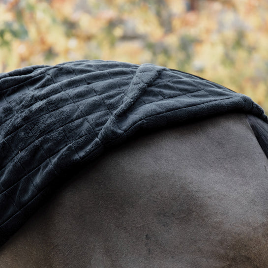 0g stable blanket for horses