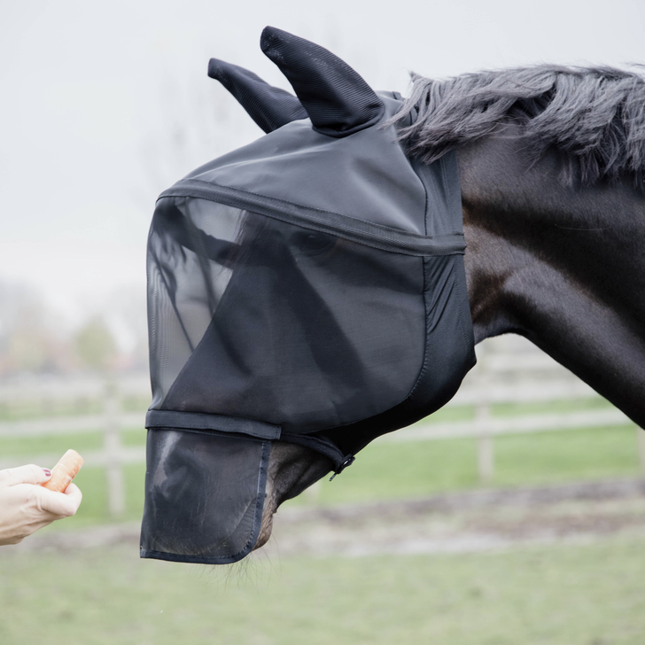 Kentucky Fly Mask