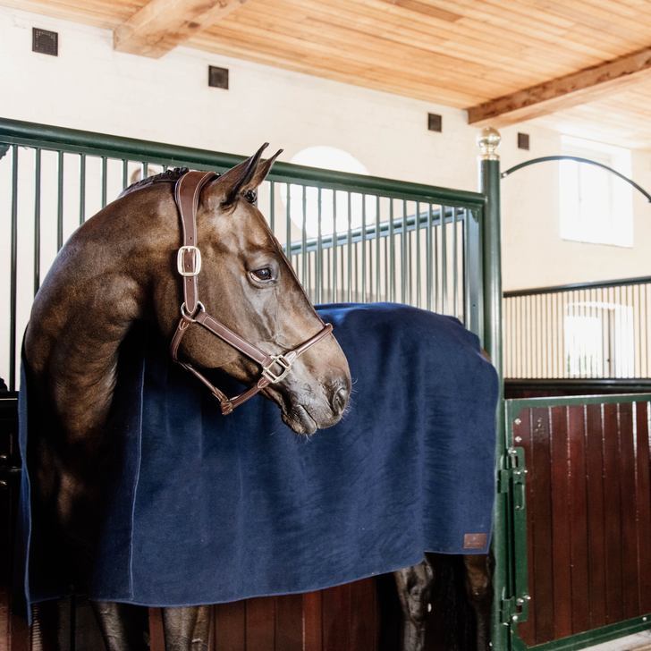 Fleece Horse Blankets