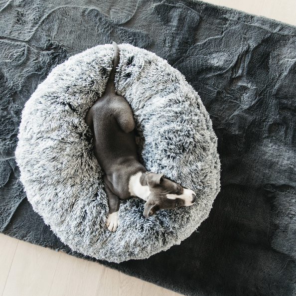 Donut dog bed xl