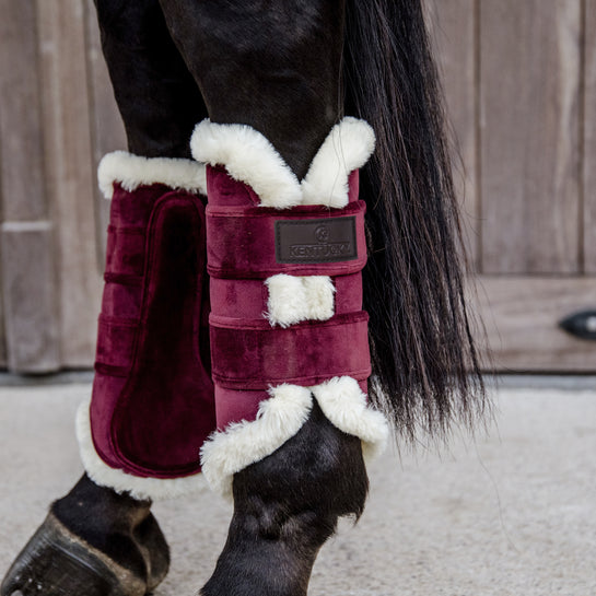 Luxury brushing boots for horses