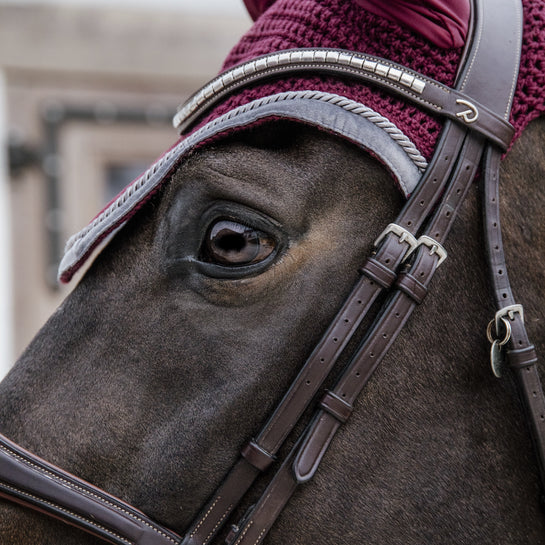 fly veil for horses