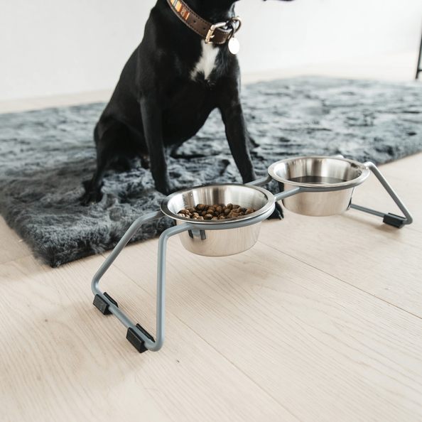 Metal dog bowl with a stand
