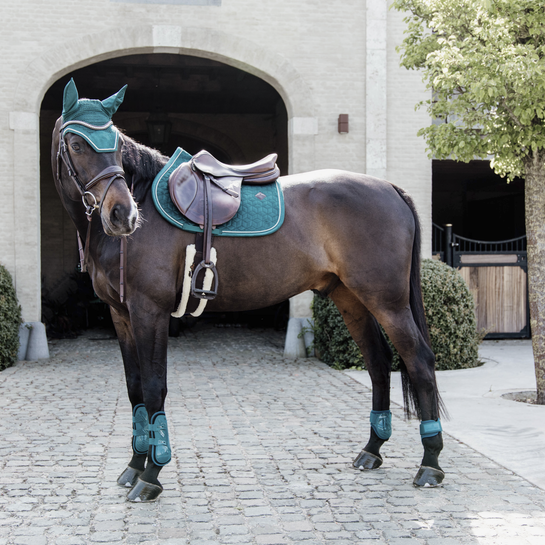 Kentucky horsewear matching set