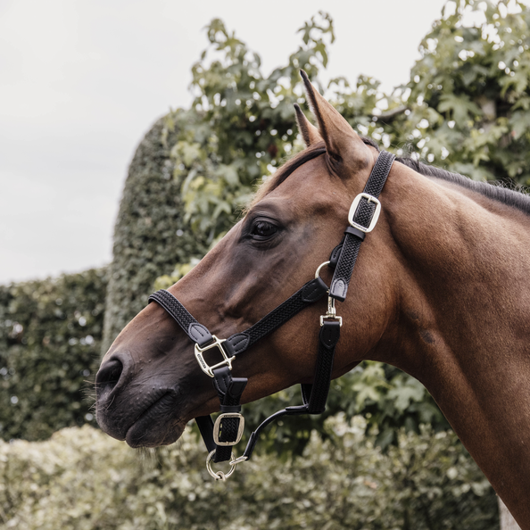 Kentucky Plaited Nylon Halter Black