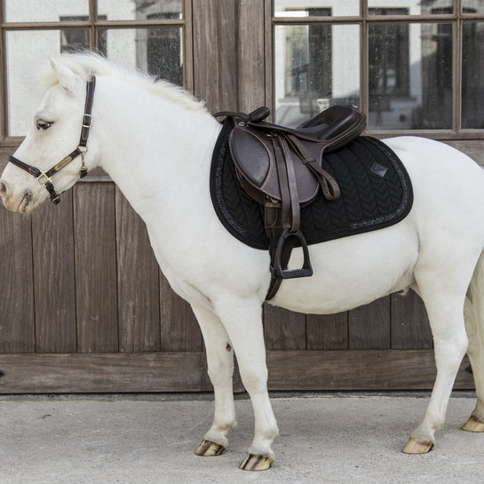 kentucky saddle pad