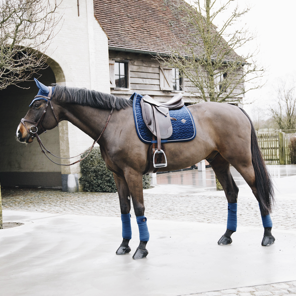 kentucky velvet navy