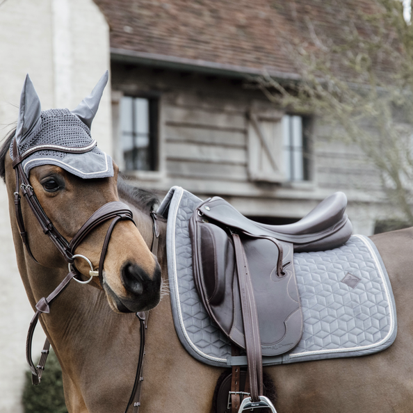 kentucky velvet nouvelle collection